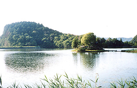 須濱神社（鴨池）の写真