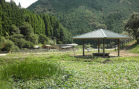 姫路市伊勢自然の里・環境学習センターの写真