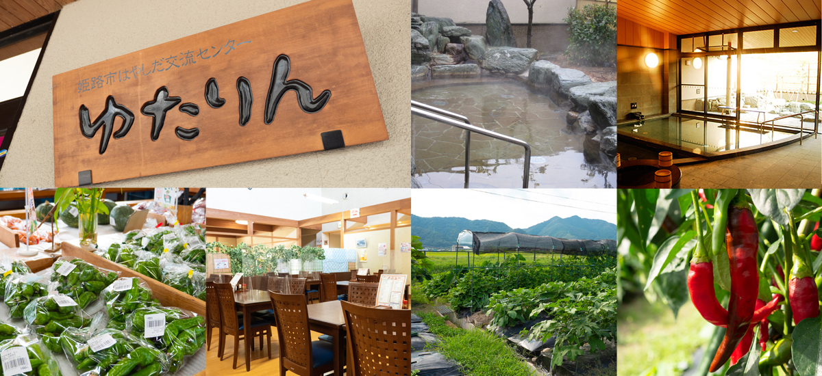 姫路市はやしだ交流センター ゆたりんの施設イメージ